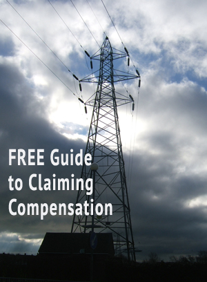 Free Electricity Pylon Compensation Guide